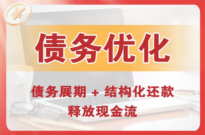 海东债务优化