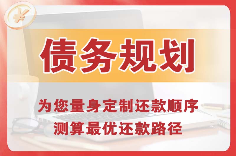 海东债务规划